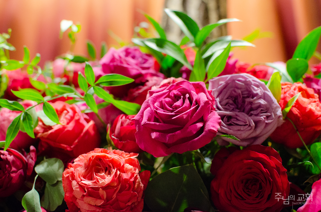 An Offering Flowers